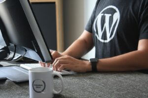 wordpress maintenance and support